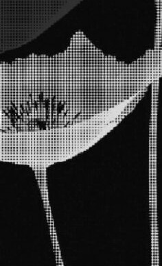 Article: Can music heal the wounds of war?