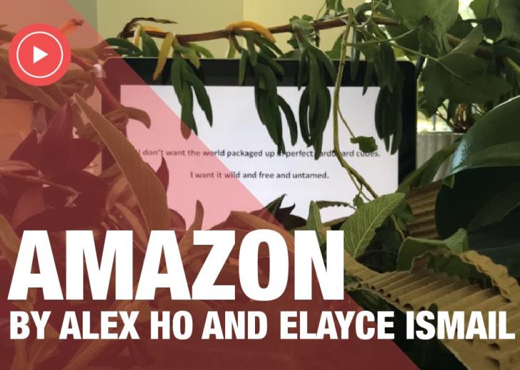 Digital Works: AMAZON by Alex Ho and Elayce Ismail